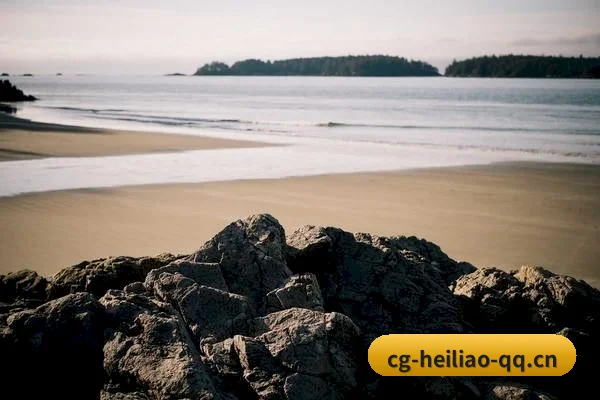 跨洋追星
